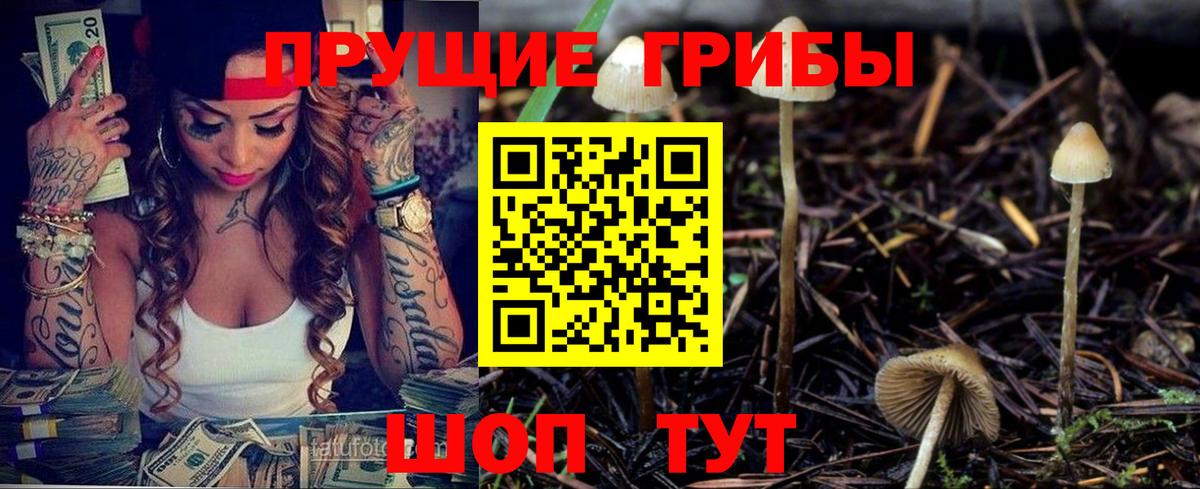 Галлюциногенные грибы Cubensis Черемхово