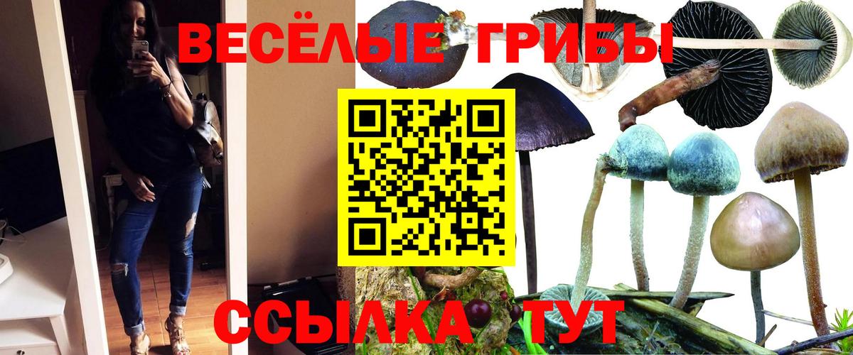 Псилоцибиновые грибы прущие грибы  Вход с VPN  Черемхово 